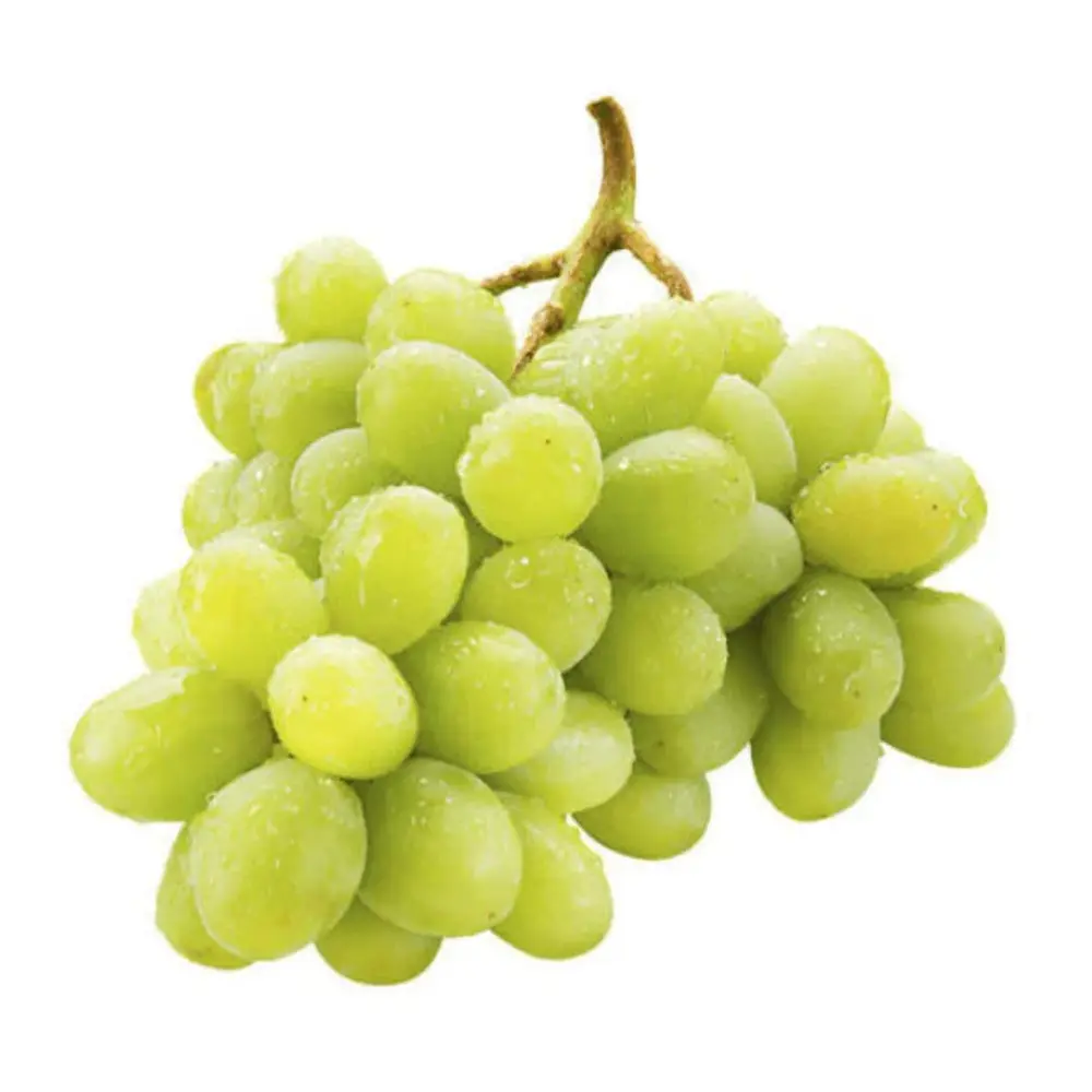 Nho Xanh Không Hạt Úc - Sweet Globe - Australian Green Seedless Grapes - GRAPE KINGDOM